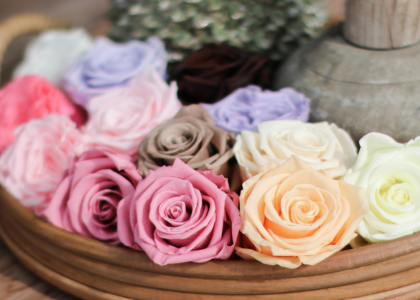 preserved,rozen,roze,23