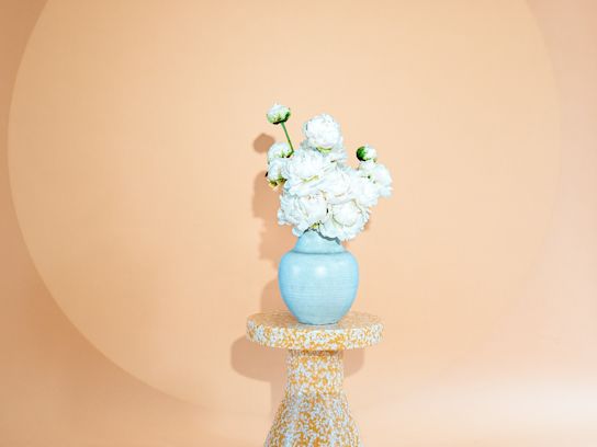 pioenen,beige,2024 (9)