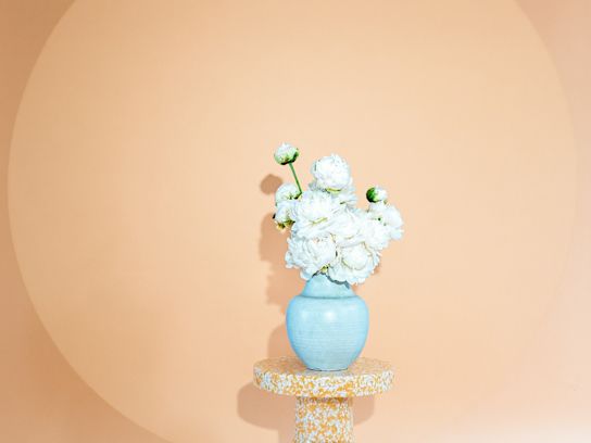 pioenen,beige,2024 (9)