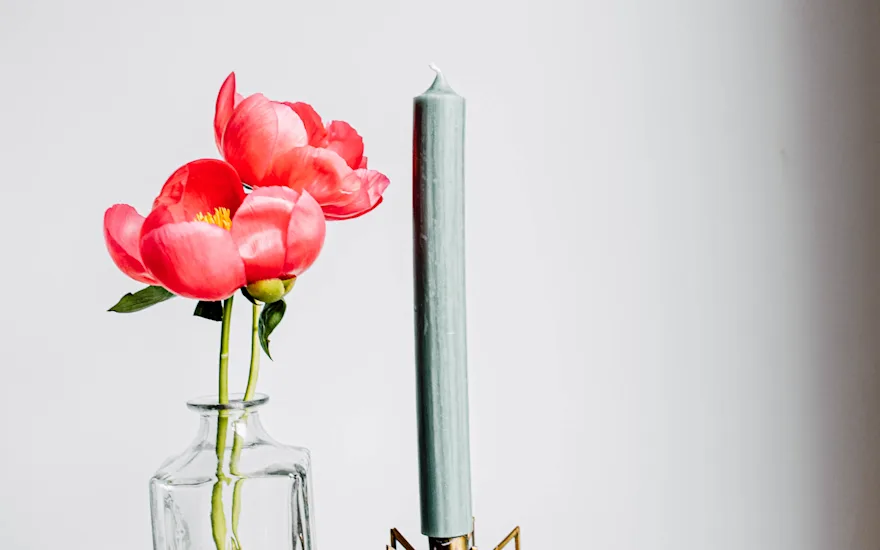 pfingstrosen,rosa,flame,21 (2)