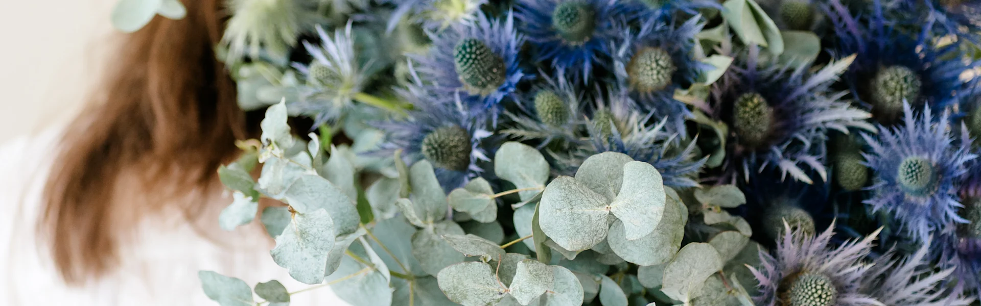 Thistles in full bloom: