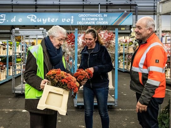 42 jan dippel (1)