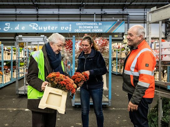 42 jan dippel (1)