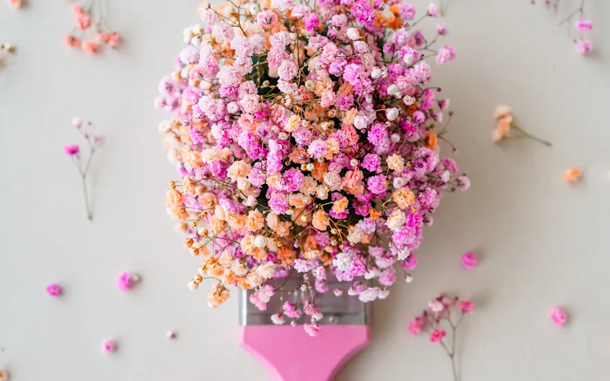 gyps,roze,23 (9)