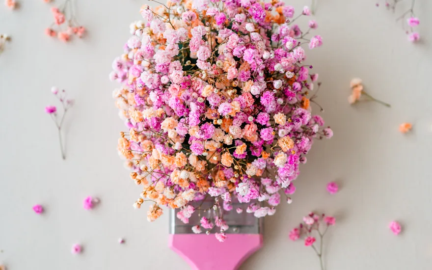gyps,roze,23 (9)