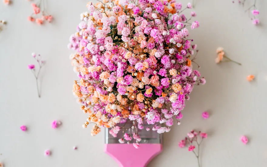 gyps,roze,23 (9)