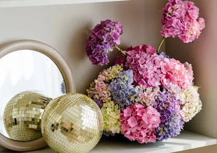 hortensia,mix,23
