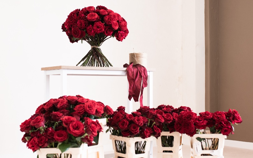 rozen,rood,valentijn,25