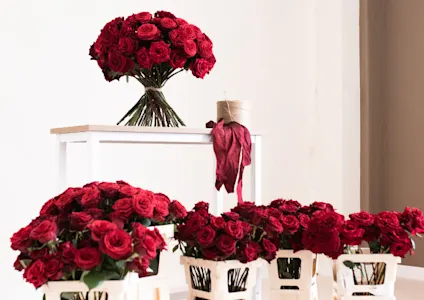 rozen,rood,valentijn,25