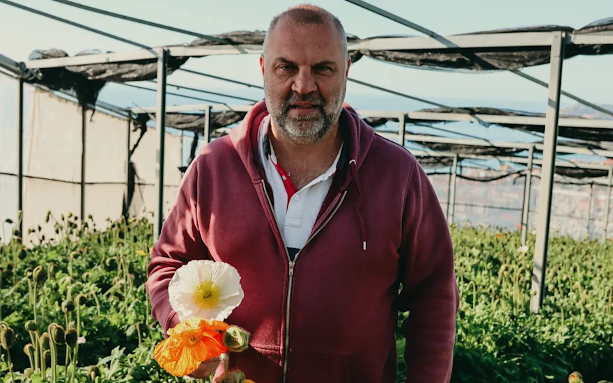 papaver,oranje,24 (21)