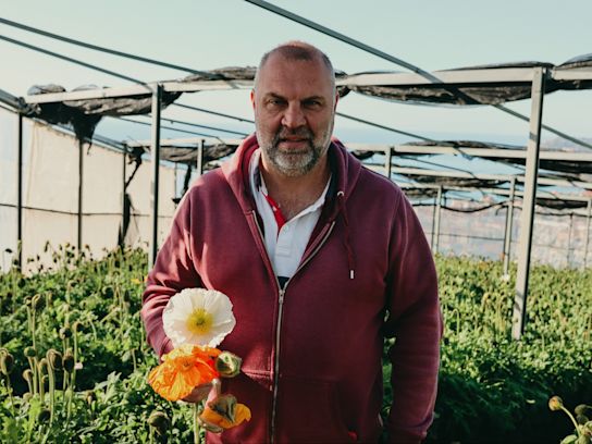 papaver,oranje,24 (21)