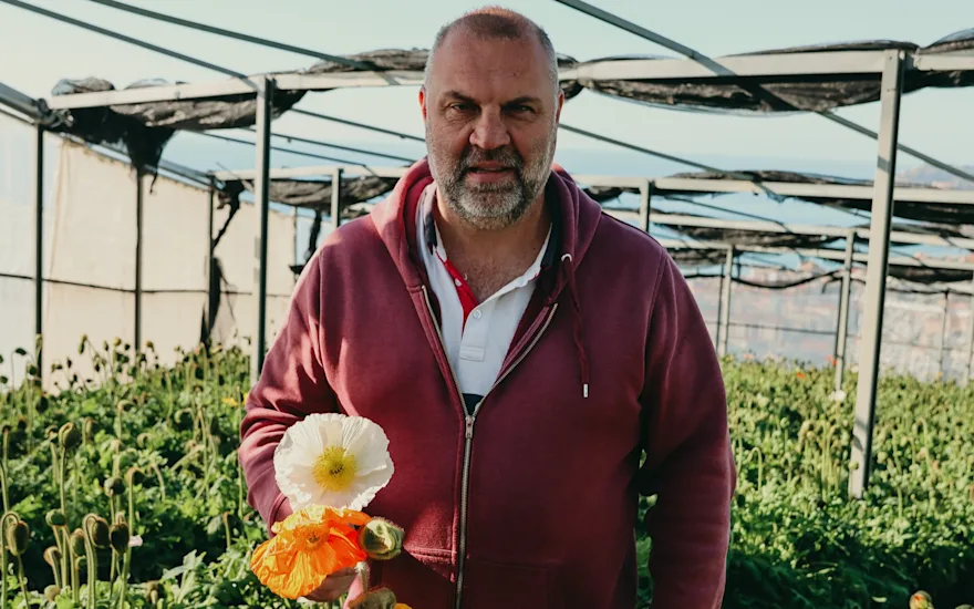 papaver,oranje,24 (21)