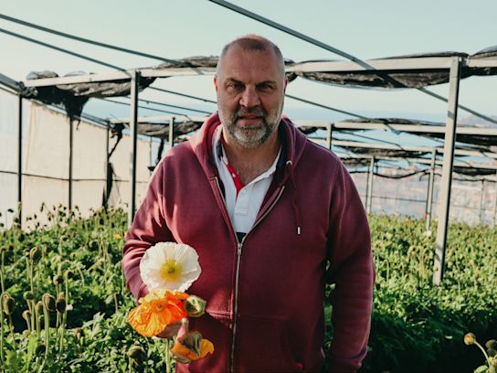 papaver,oranje,24 (21)