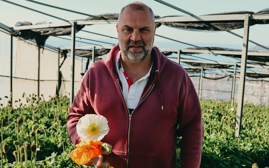 papaver,oranje,24 (21)