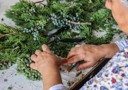 kransen,groen,turkije,2025