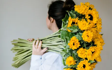 Strahlende Blumen für jede sommerliche Gelegenheit