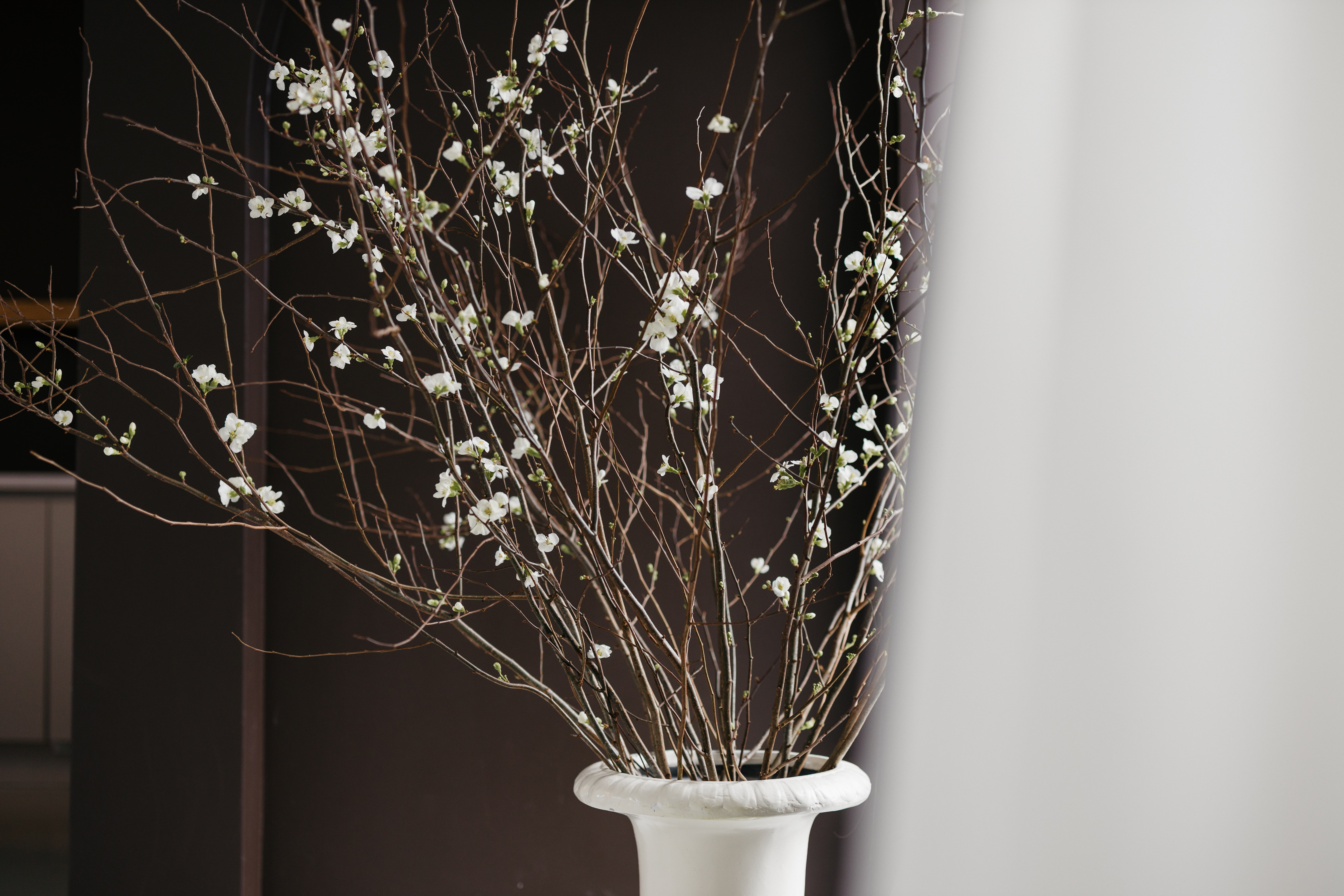 bloesemtakken,wit,25