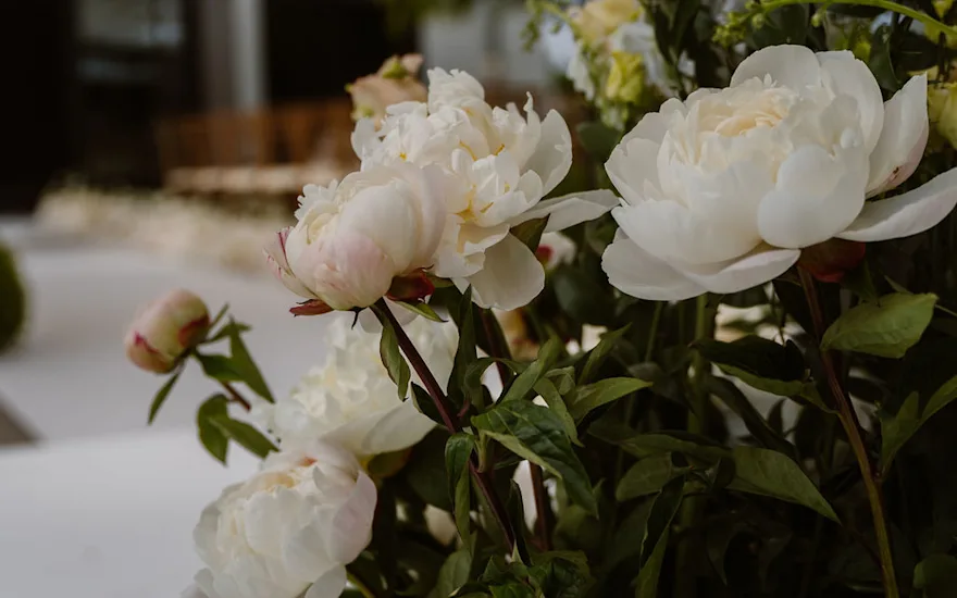 peonies,wedding,22 (2)