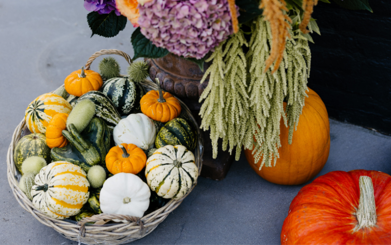 herfst,shoot,2026,pompoenen,sierfruit