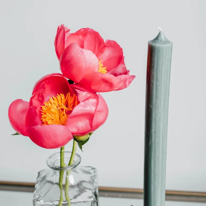 peonies,pink,flame,21 (1)