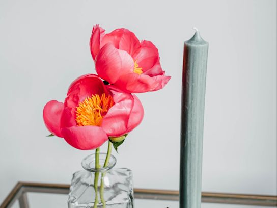 peonies,pink,flame,21 (1)