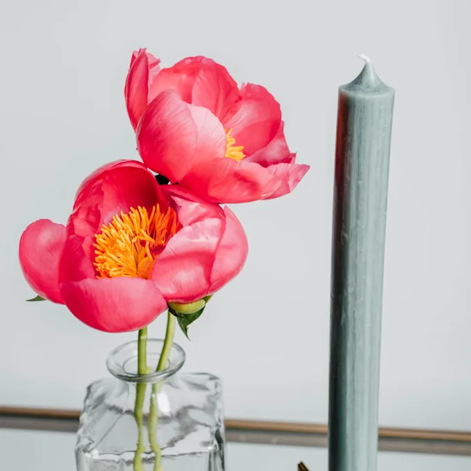 pioenen,roze,flame,21 (1)