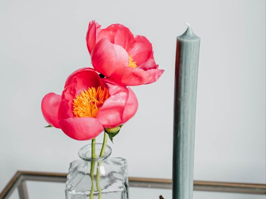 pioenen,roze,flame,21 (1)