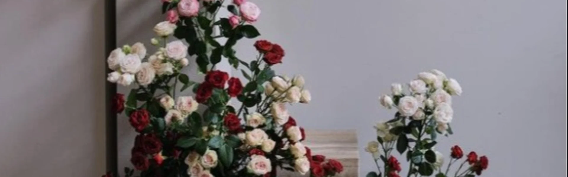 Trendsetter in der Welt der exklusiven Blumen