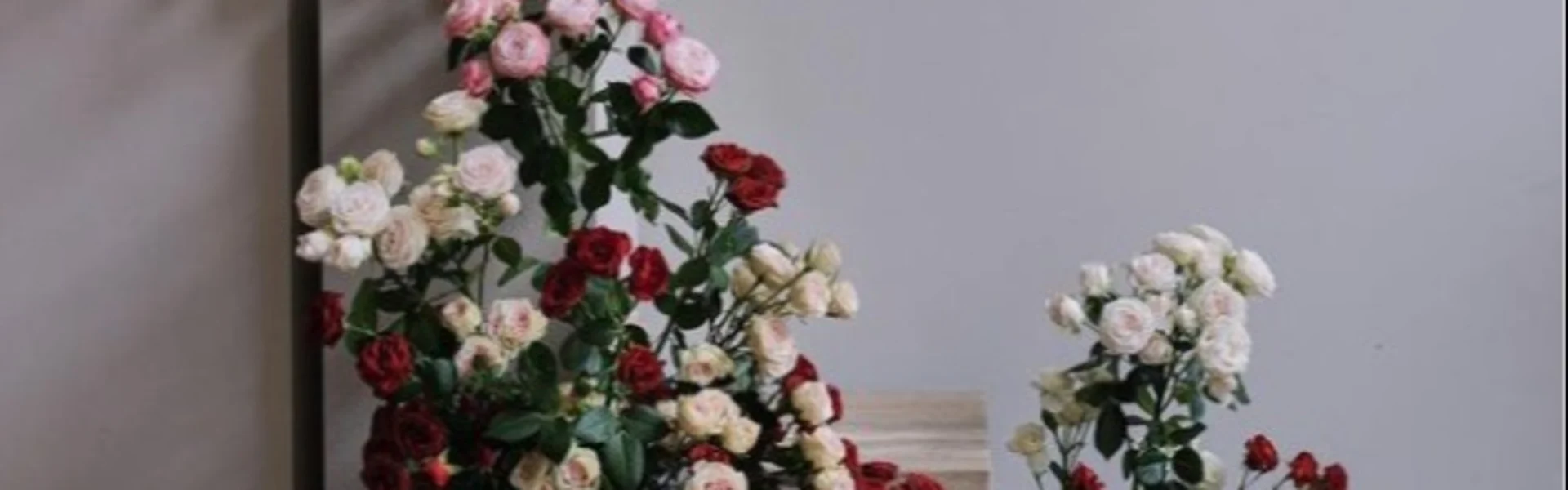 Trendsetter in the world of exclusive flowers