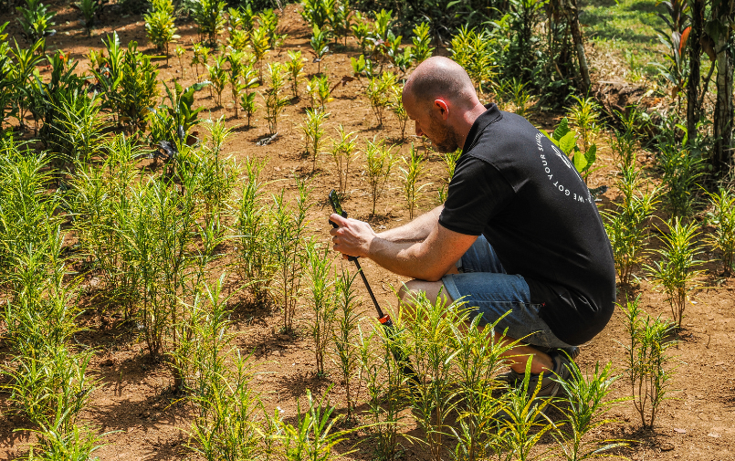 Greenflor international sourcing (1)
