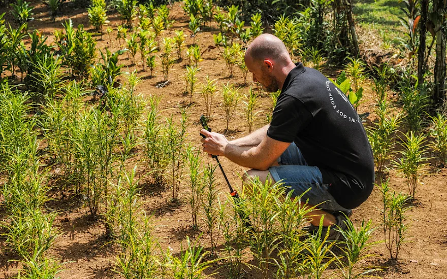 Greenflor international sourcing (1)