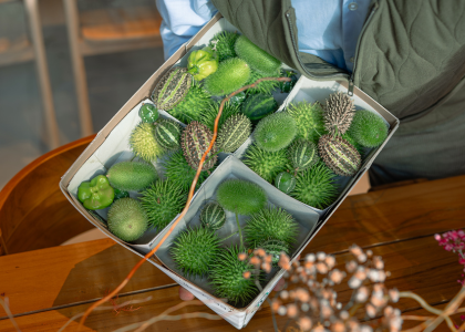 sierfruit,herfst,2024