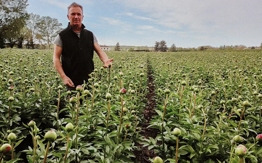 pioenen,roze,24 (12)