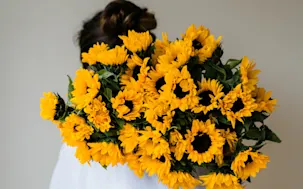Bright Blooms for Every Sunny Occasion