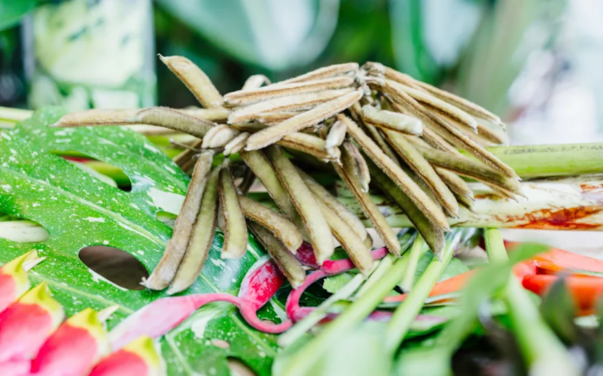 Greenflor international sourcing (3)