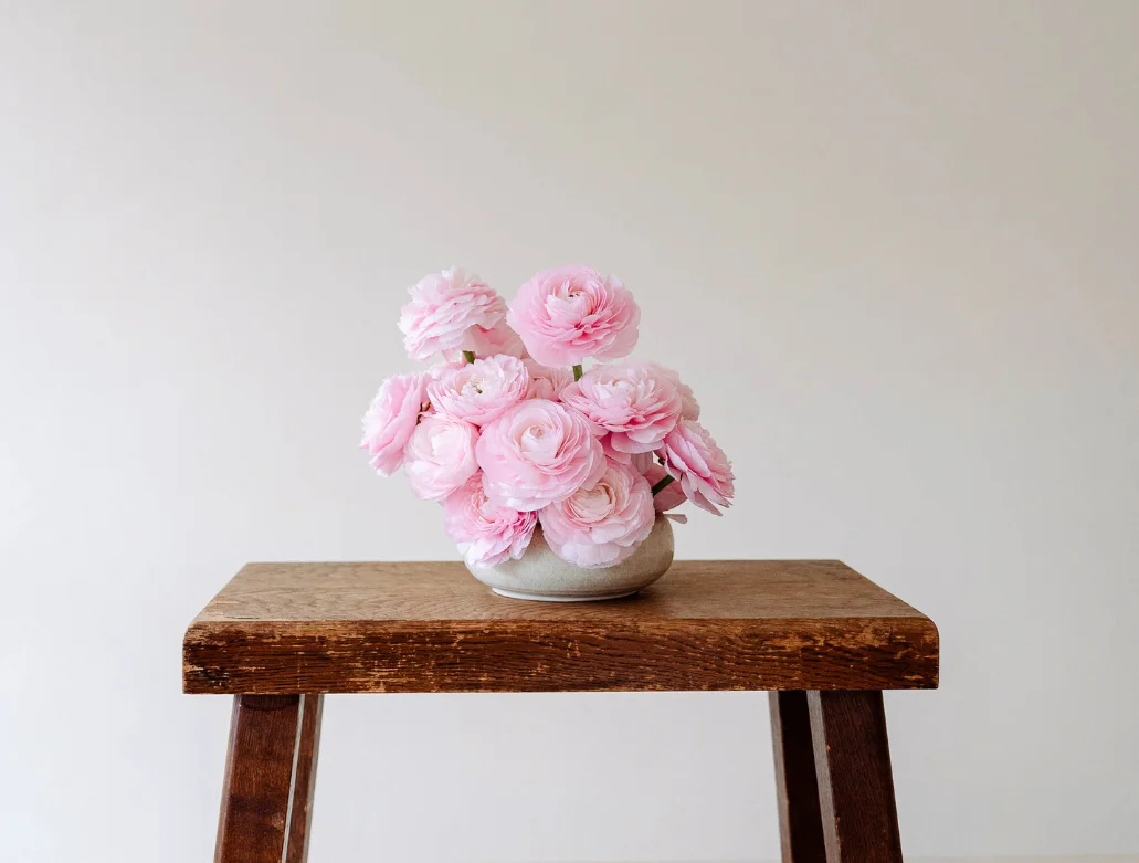 ranonkel,roze,23 (1)