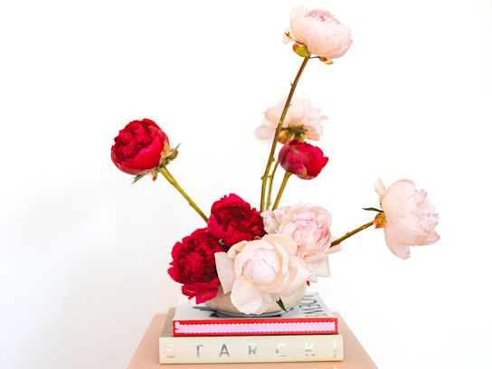 pioenen,roze,2024 (18)