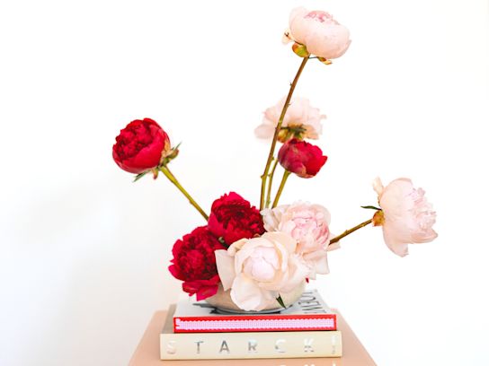 pioenen,roze,2024 (18)