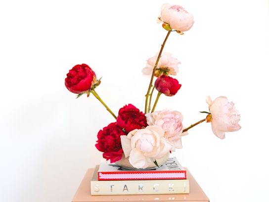 pioenen,roze,2024 (18)