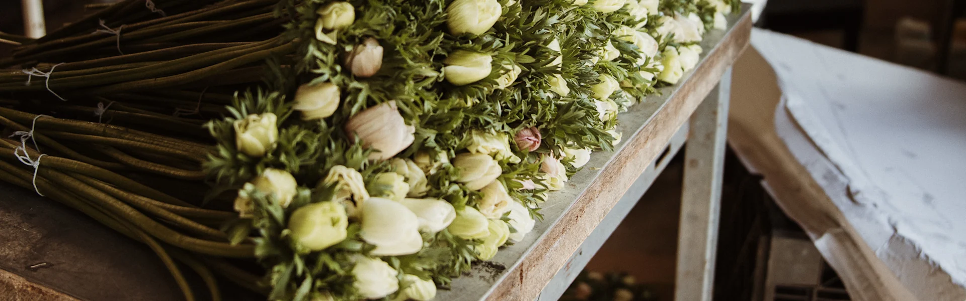 top quality french anemones