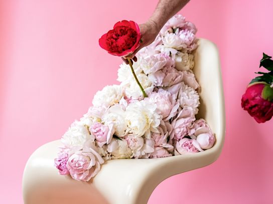 pioenen,roze,2024 (7)