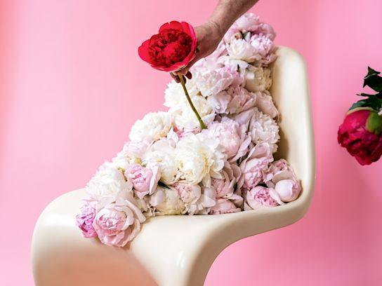 pioenen,roze,2024 (7)