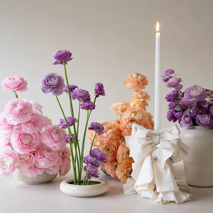 ranonkel, mix, 24 (9)