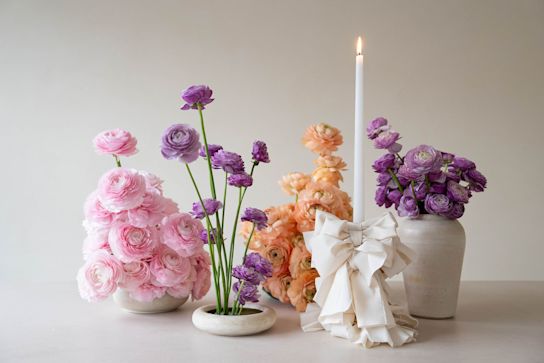 ranonkel, mix, 24 (9)