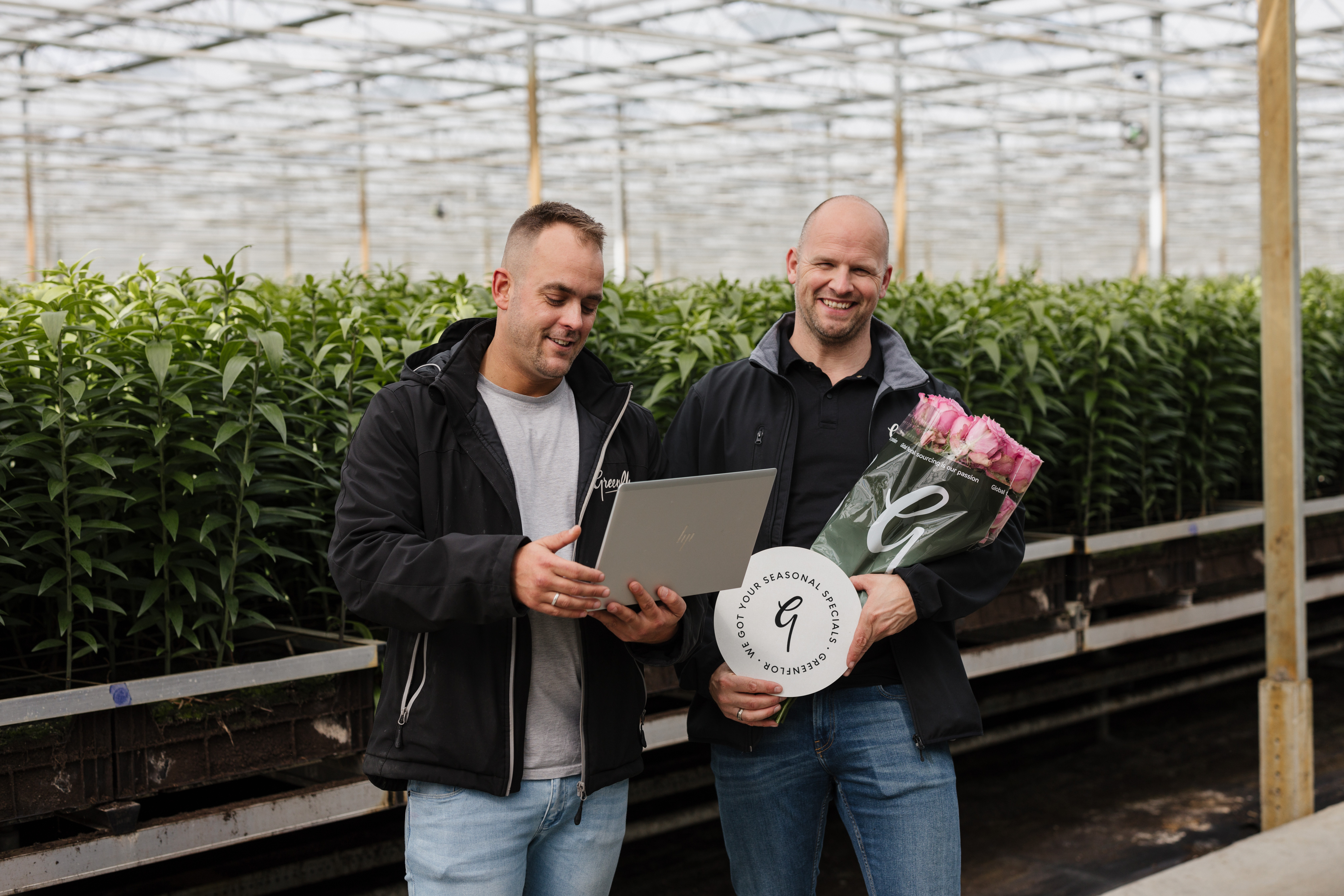 mederwerks,rozen,2024