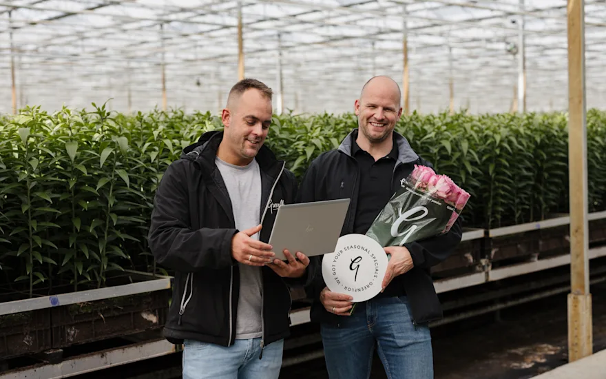 mederwerks,rozen,2024