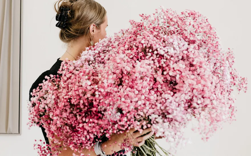 gypsophila, valentines, content block (1)