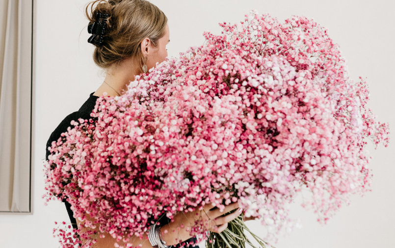 gypsophila, valentines, content block (1)