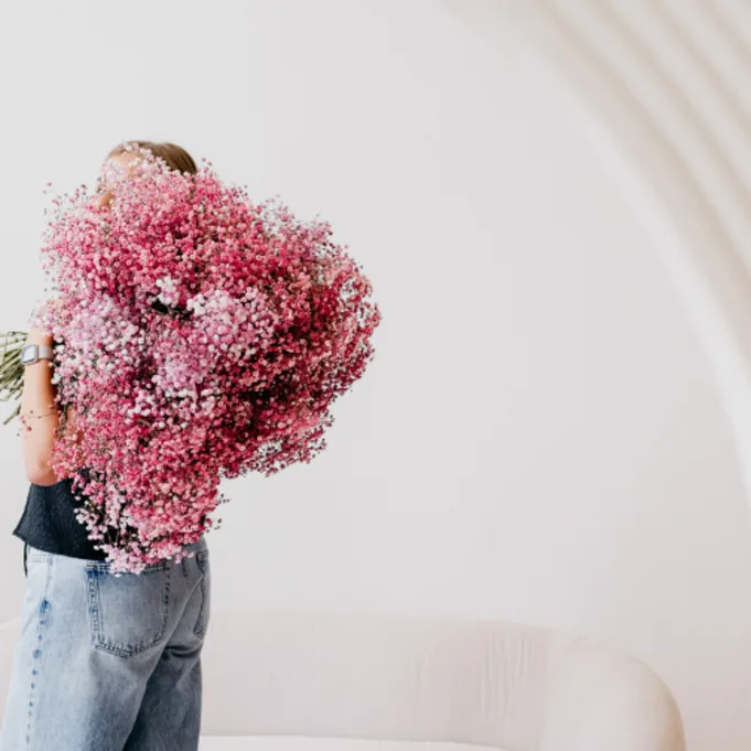 gypsophila, valentines, content block (2)