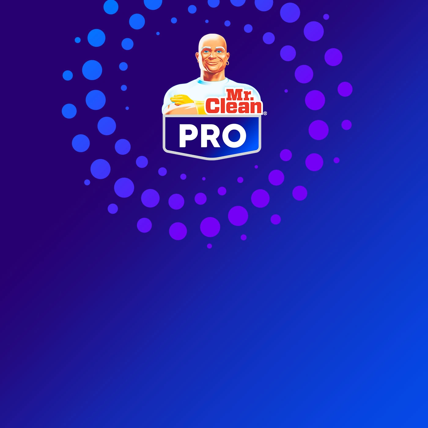Magic of Mr. Clean Professional 